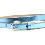 blauwe riem