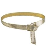 goudkleurige riem